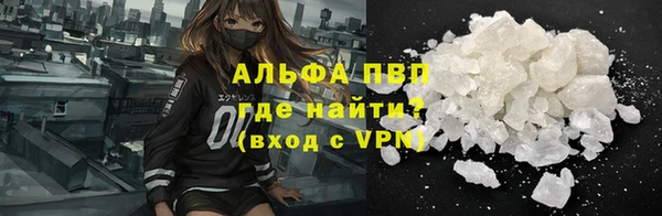 прущие грибы Абинск