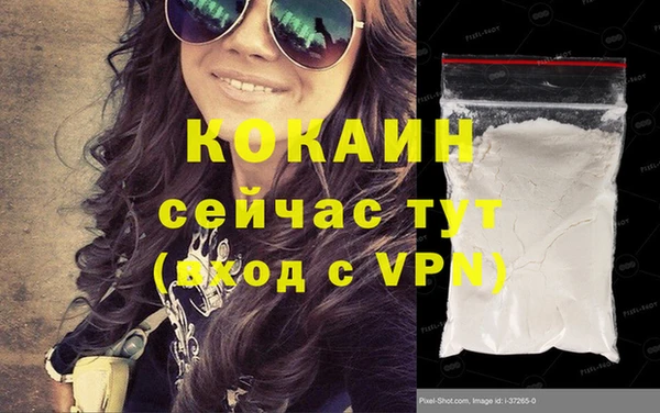 дмт Новодвинск