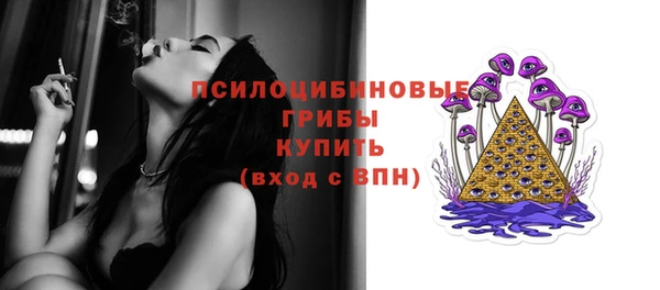 прущие грибы Абинск
