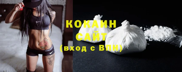 2c-b Новозыбков