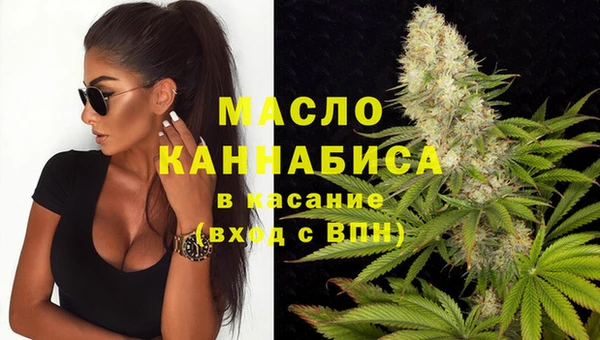 2c-b Новозыбков