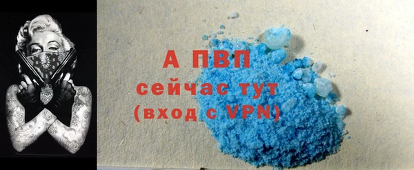 2c-b Новозыбков