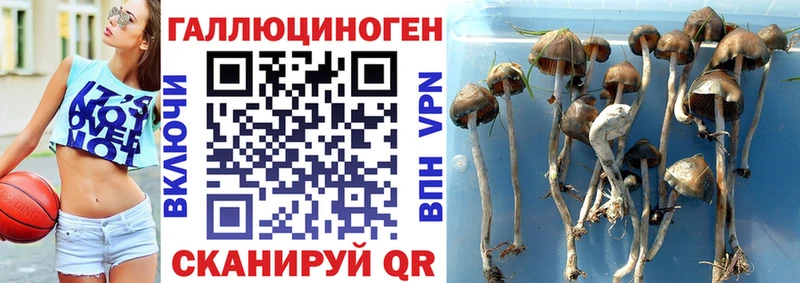 Галлюциногенные грибы мухоморы  Ялта 